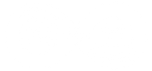 Octane Outlaws